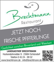 Imageanzeige / Noch frische Pfifferlinge