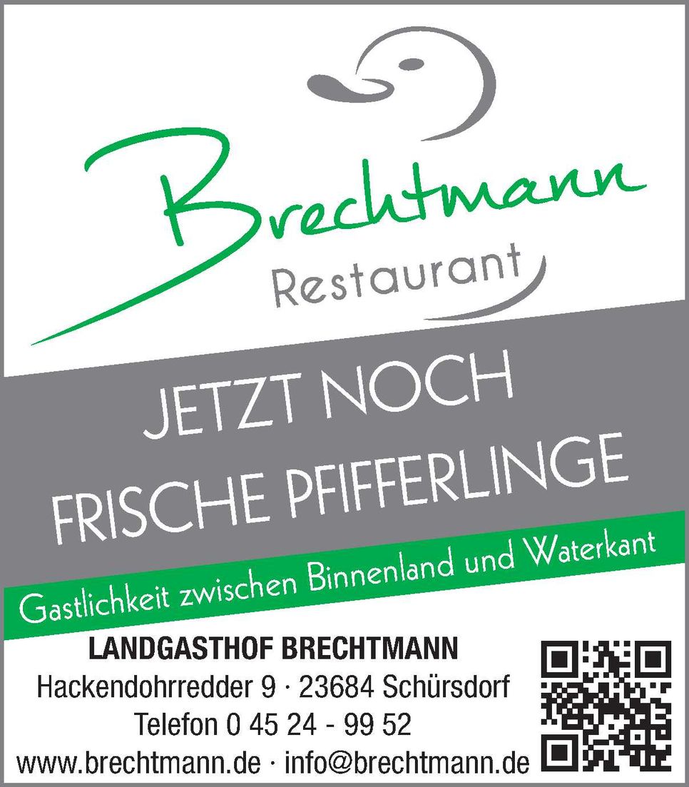 Imageanzeige / Noch frische Pfifferlinge