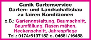 Imageanzeige