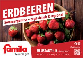 Erdbeeren