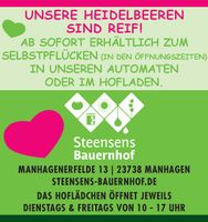 Heidelbeeren Selbstpflücke