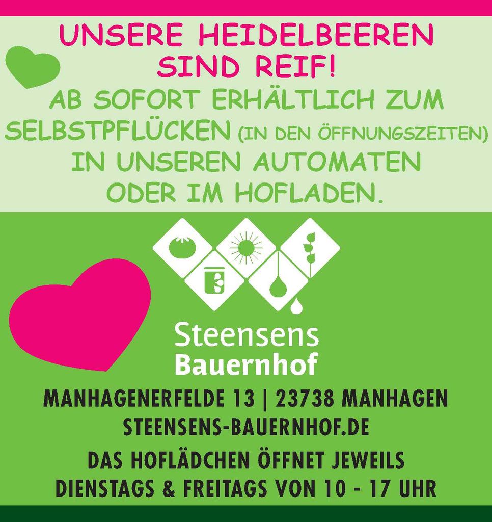 Heidelbeeren Selbstpflücke