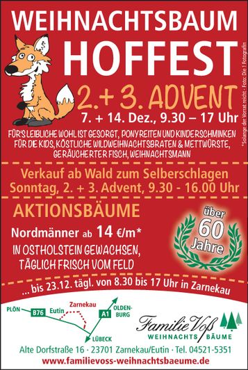 Weihnachtsbäume & Tannengrün 