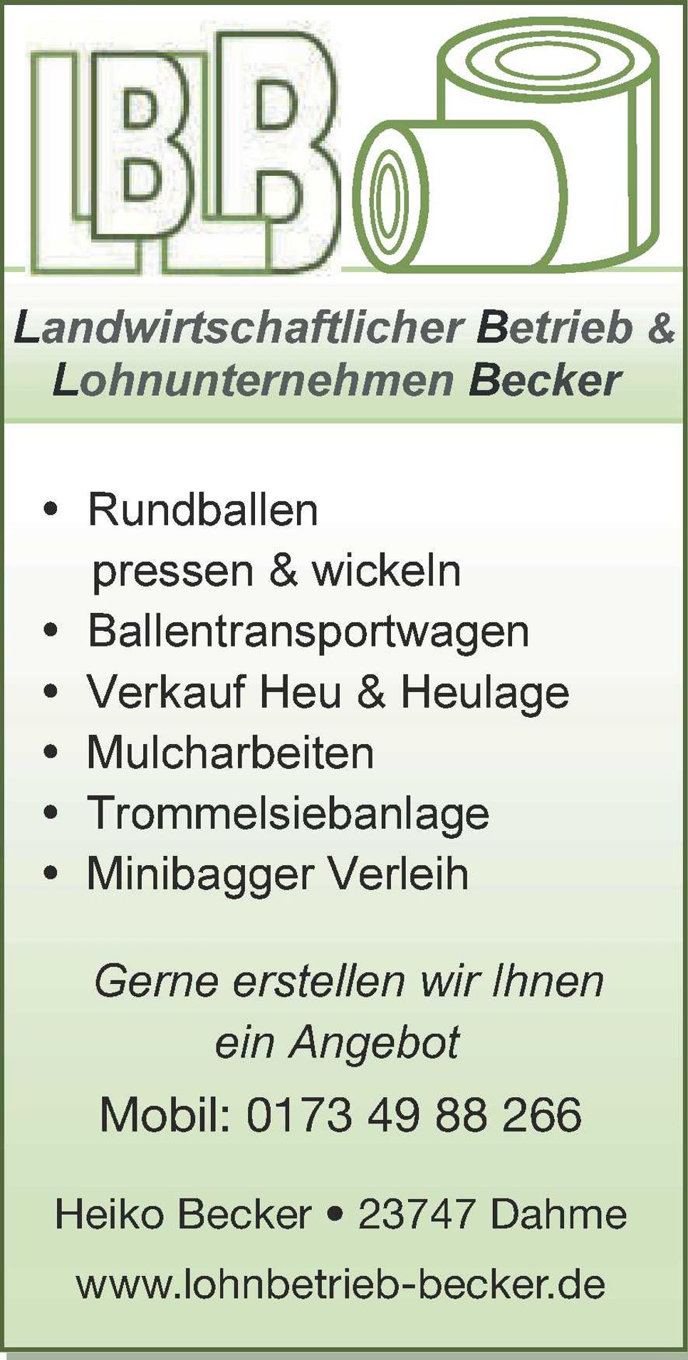 Imageanzeige