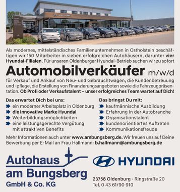 Automobilverkäufer 