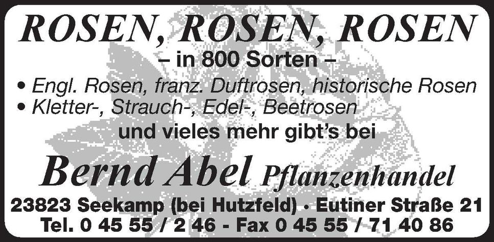 Rosen Rosen Rosen