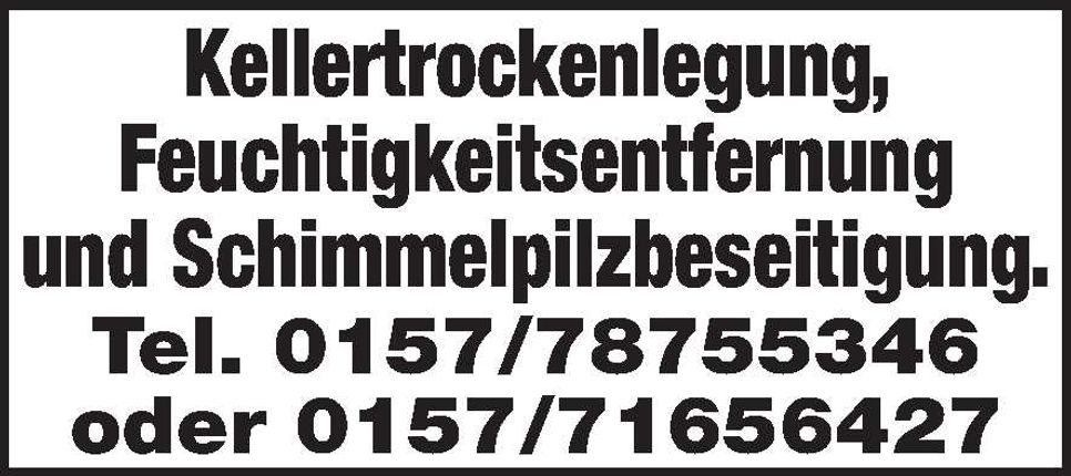Kellertrockenlegung 