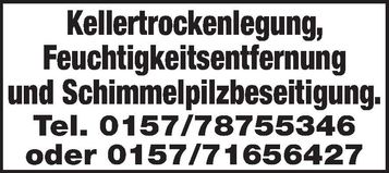 Kellertrockenlegung 