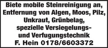 Steinreinigung 