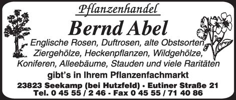 Imageanzeige