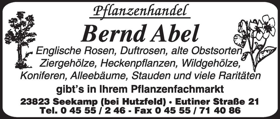 Imageanzeige