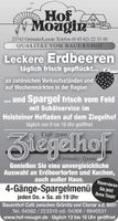 Spargel 