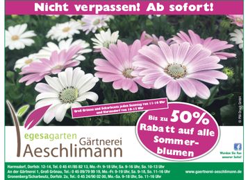 50% auf alle Sommerblumen