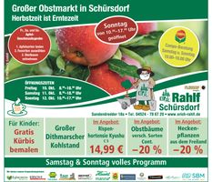 Kürbis schnitzen/ Großer Obstmarkt 
