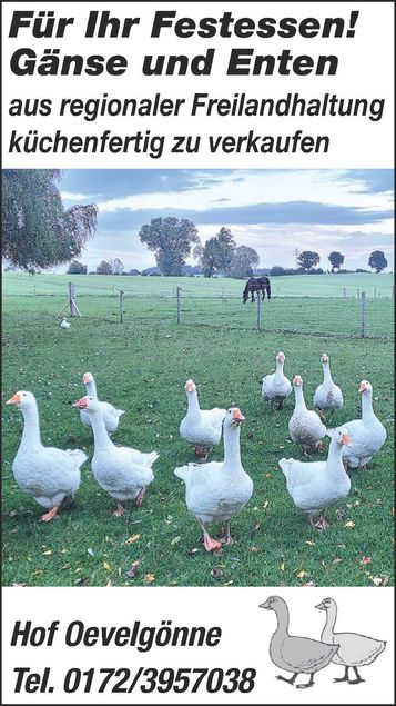 Gänse und Enten aus Freilandhaltung