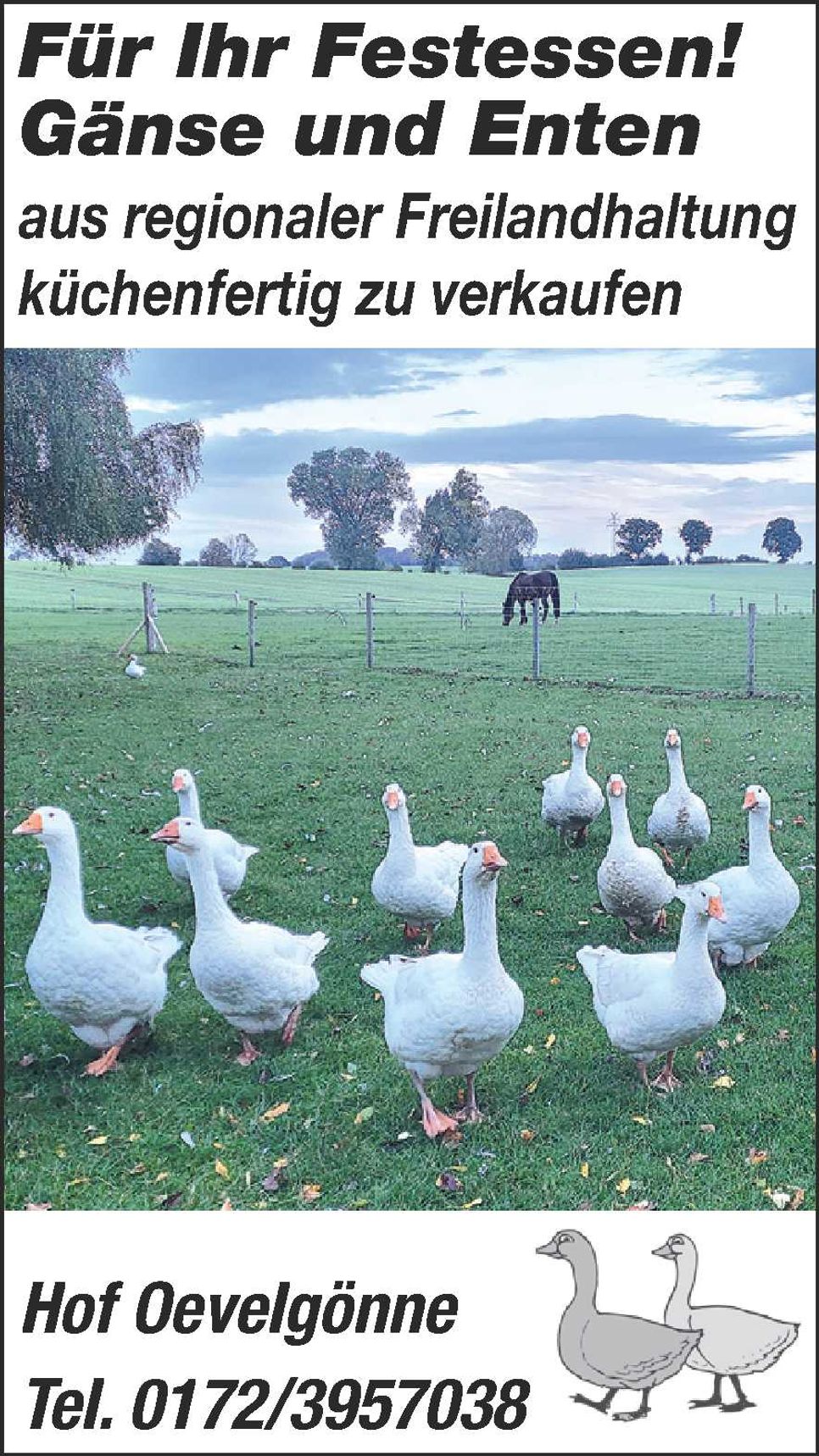 Gänse und Enten aus Freilandhaltung