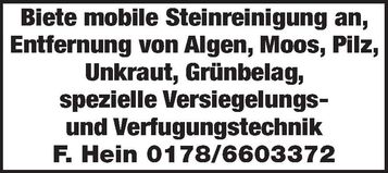 Steinreinigung 