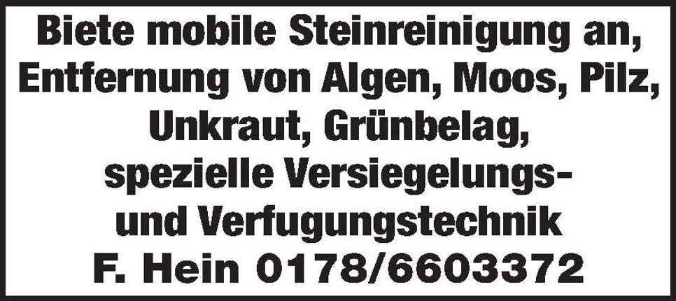 Steinreinigung 