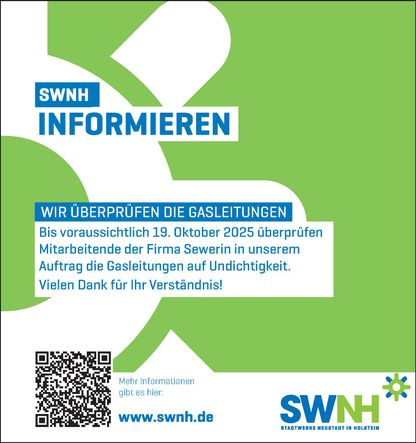 Überprüfung Gasleitungen