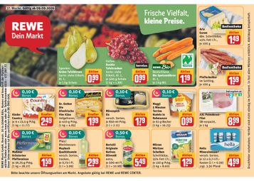 Vorgangsnummer 1070 / Rewe