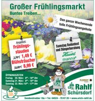 Frühlingsmarkt