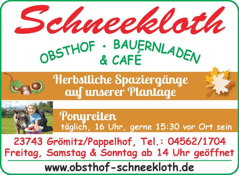 KW 40 / Imageanzeige 