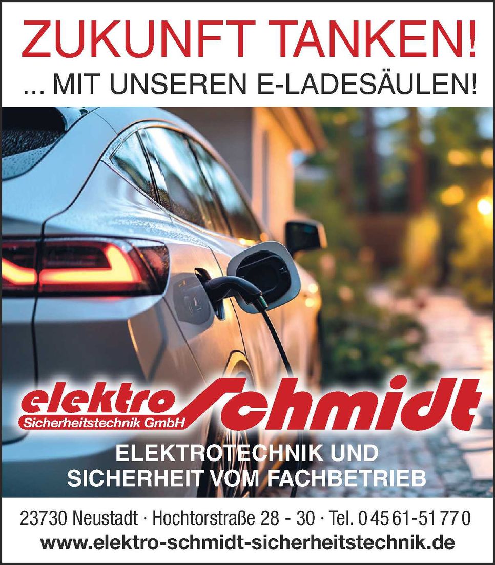 Elektromobilität