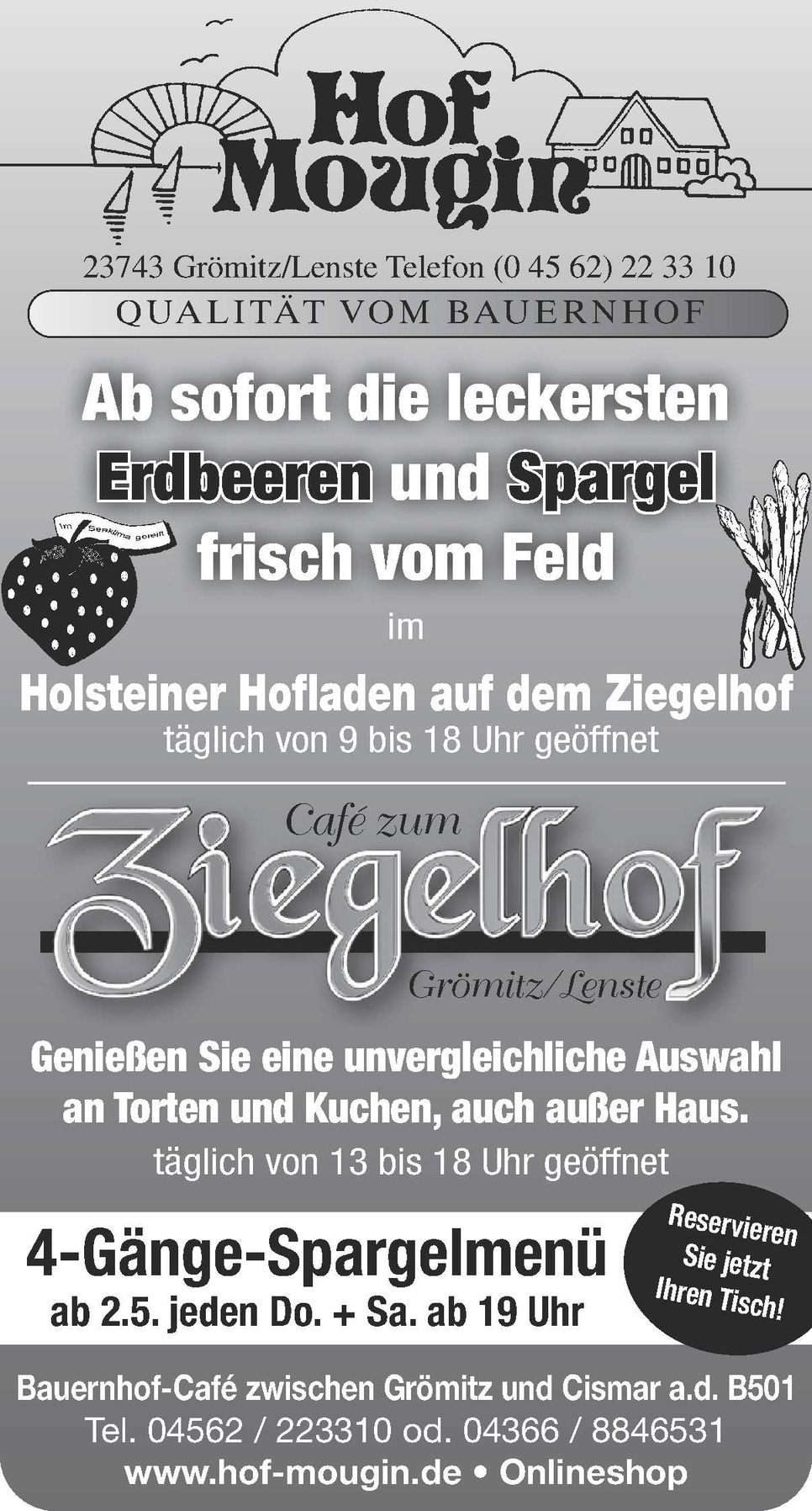 Spargel