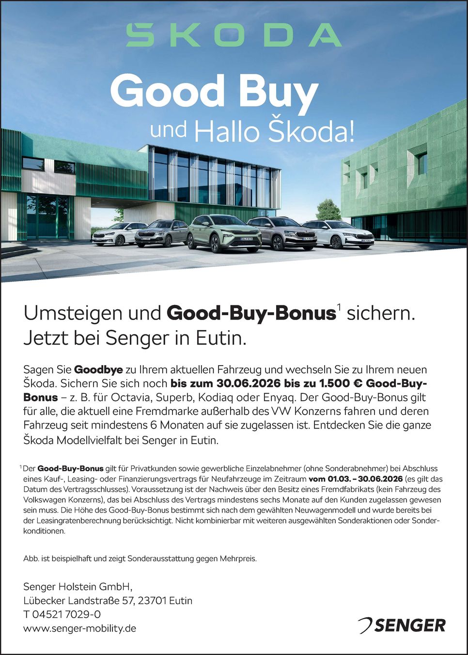 Skoda Anzeige