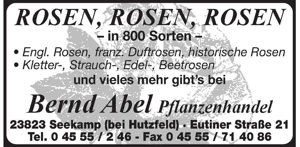 Rosen Rosen Rosen
