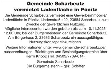 Vermietung Ladenfläche in Pönitz