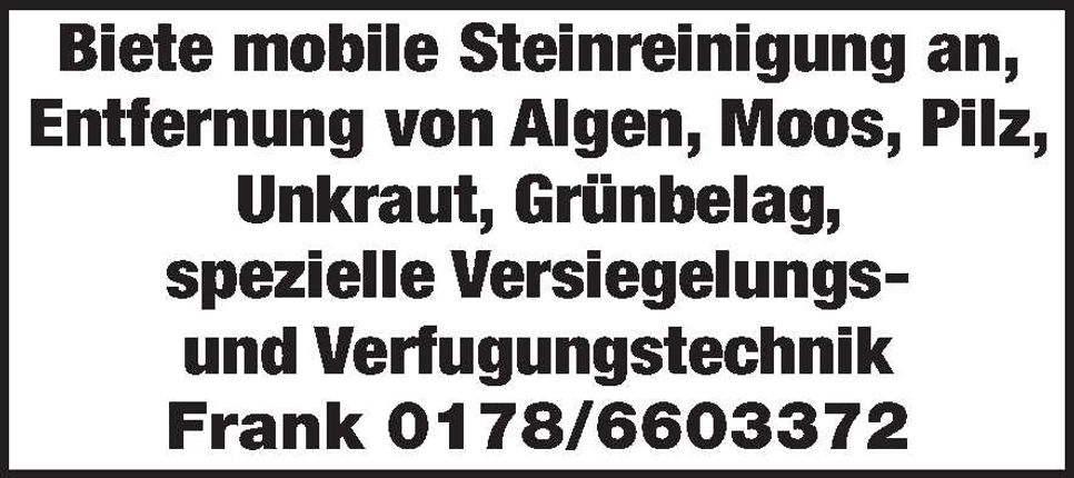 Steinreinigung 