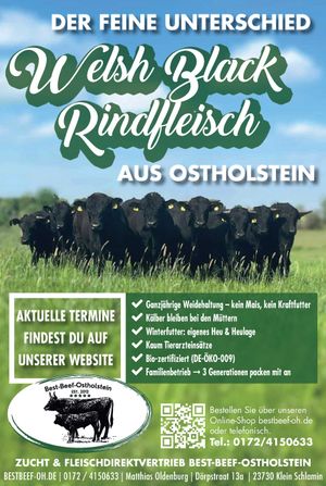 Anzeige 381992