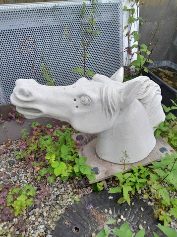 Wir suchen unsere Steinsk