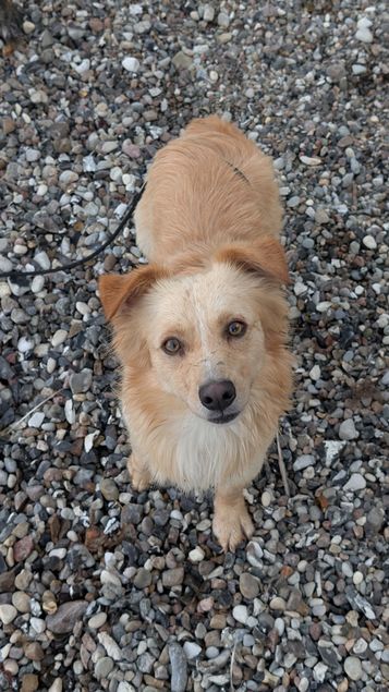Max, geb. 20.02.2024, ca.