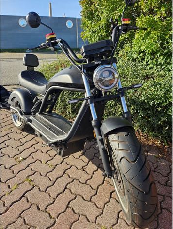 Elektro Bike Twister 2.50
