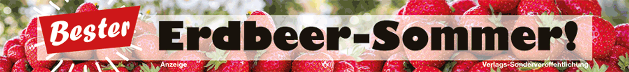 Erdbeeren