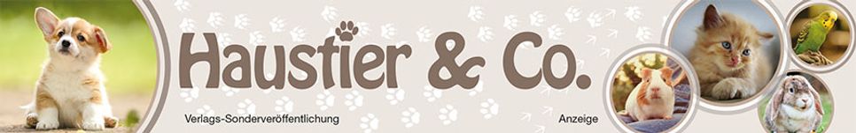 Haustier und Co.